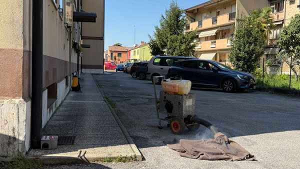 disinfesta